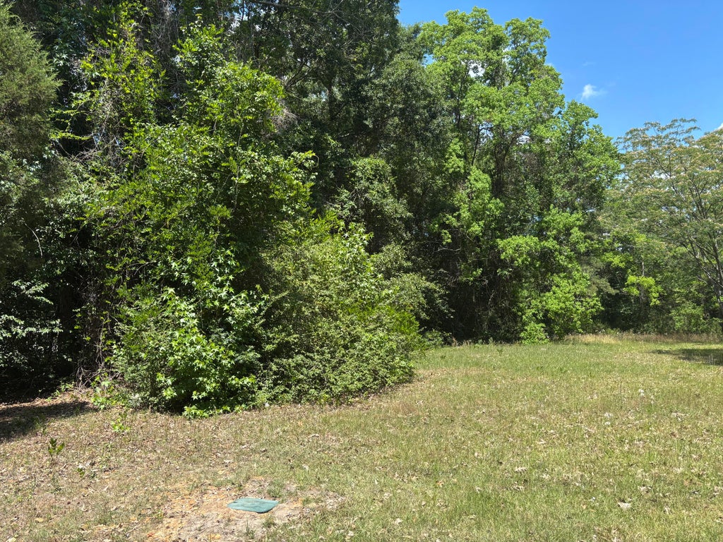 Photo of 2498 Gable Street, North Charleston, SC 29406 (MLS # 26022251)
