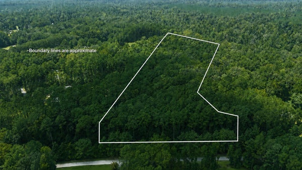 MARJORIE LN, RIDGEVILLE, SC 29472 - Image 90e2cb61aedd2c1b5c0ea9dc6937ab70/1751530134