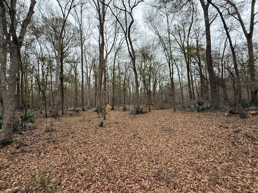 Photo of 000 Old Hwy 52, Moncks Corner, SC 29461 (MLS # 25023601)