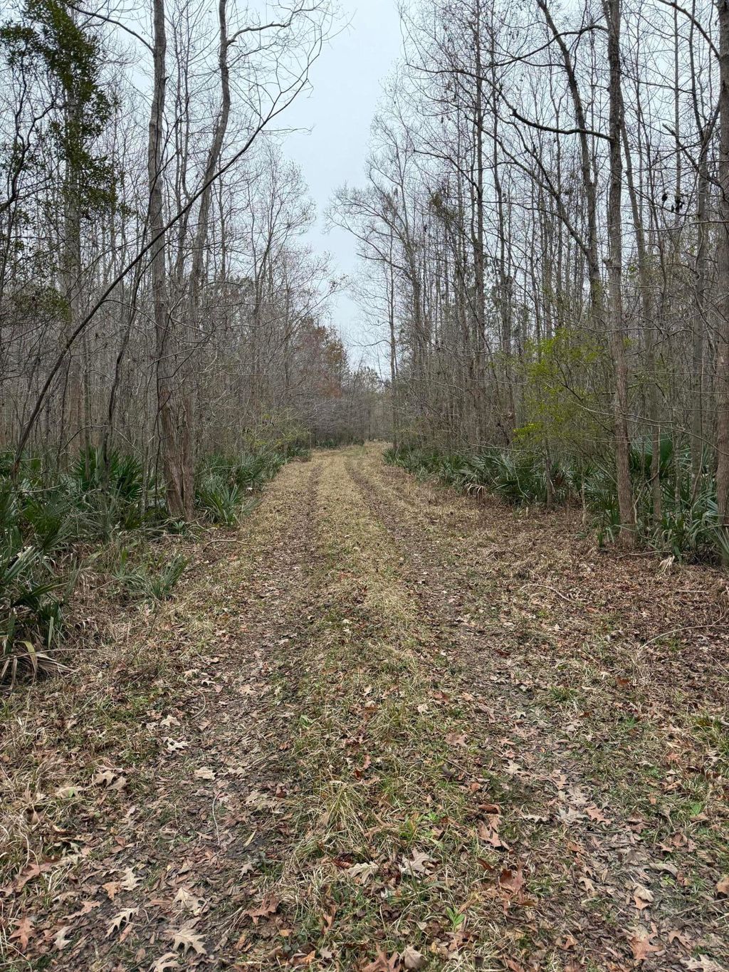 Photo of 000 Old Hwy 52, Moncks Corner, SC 29461 (MLS # 25023601)