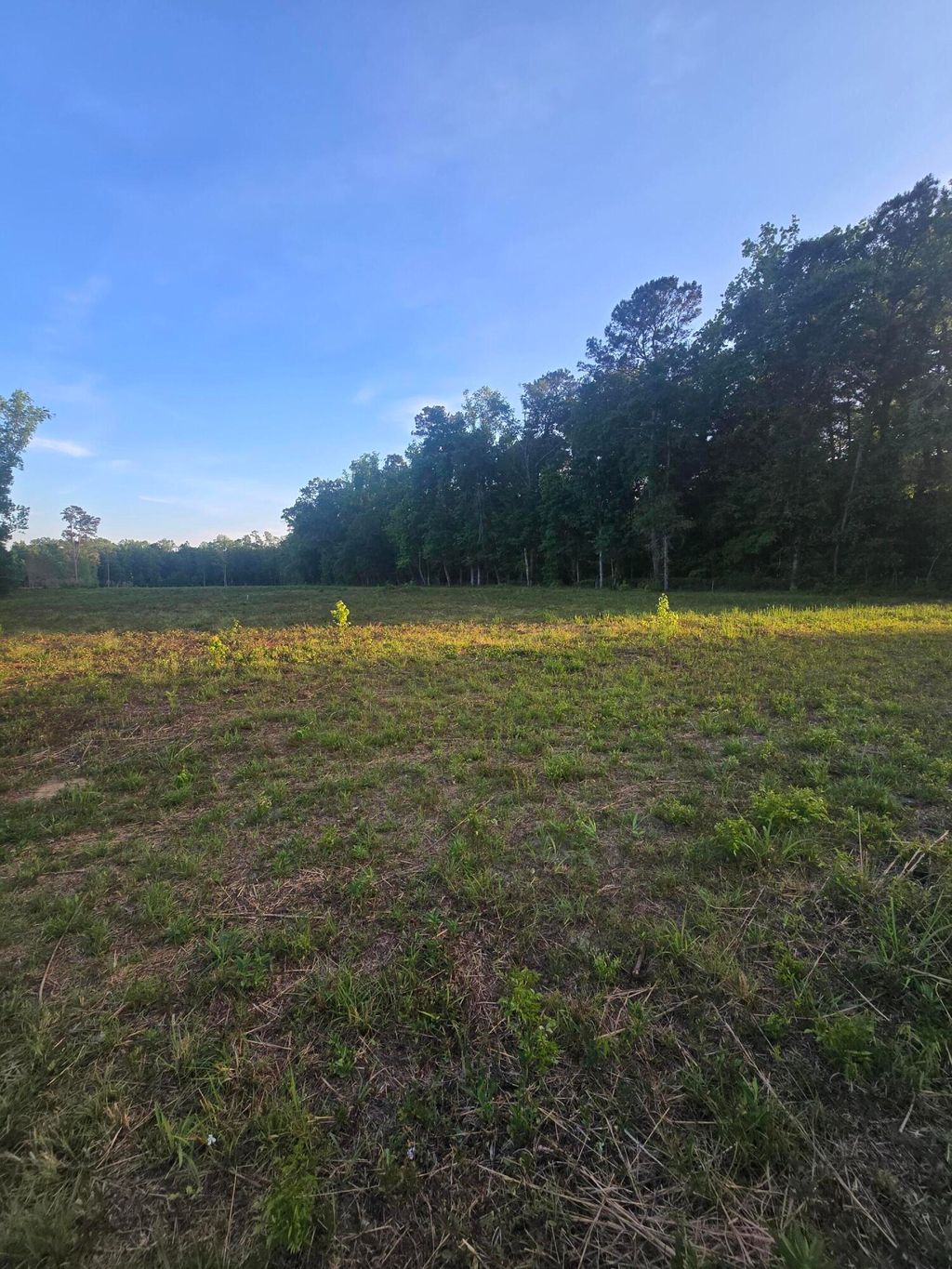 Photo of 00 Central Avenue, Summerville, SC 29483 (MLS # 26011470)