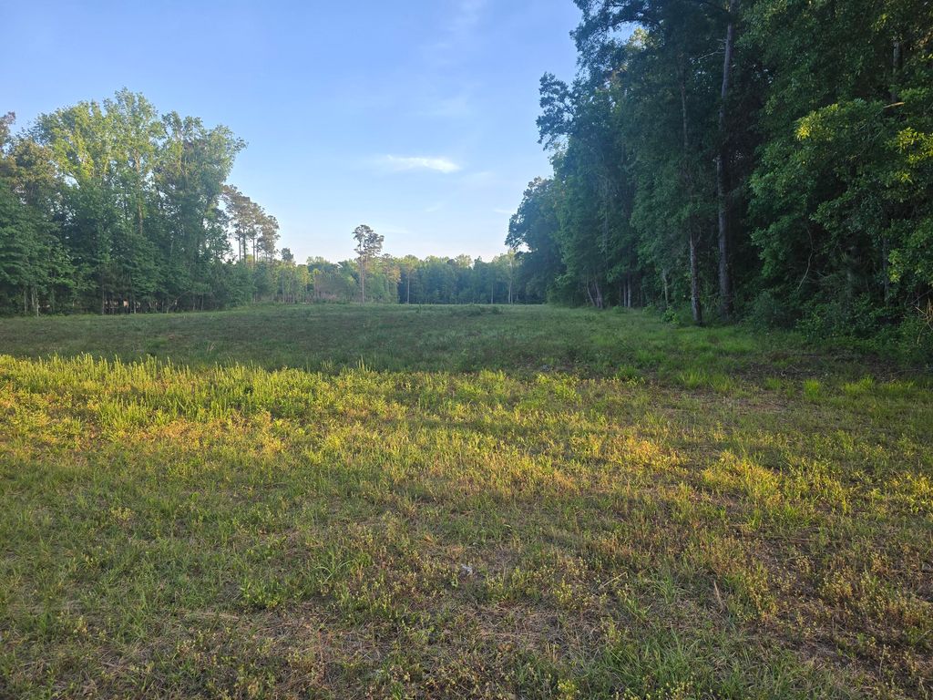 Photo of 00 Central Avenue, Summerville, SC 29483 (MLS # 26011470)