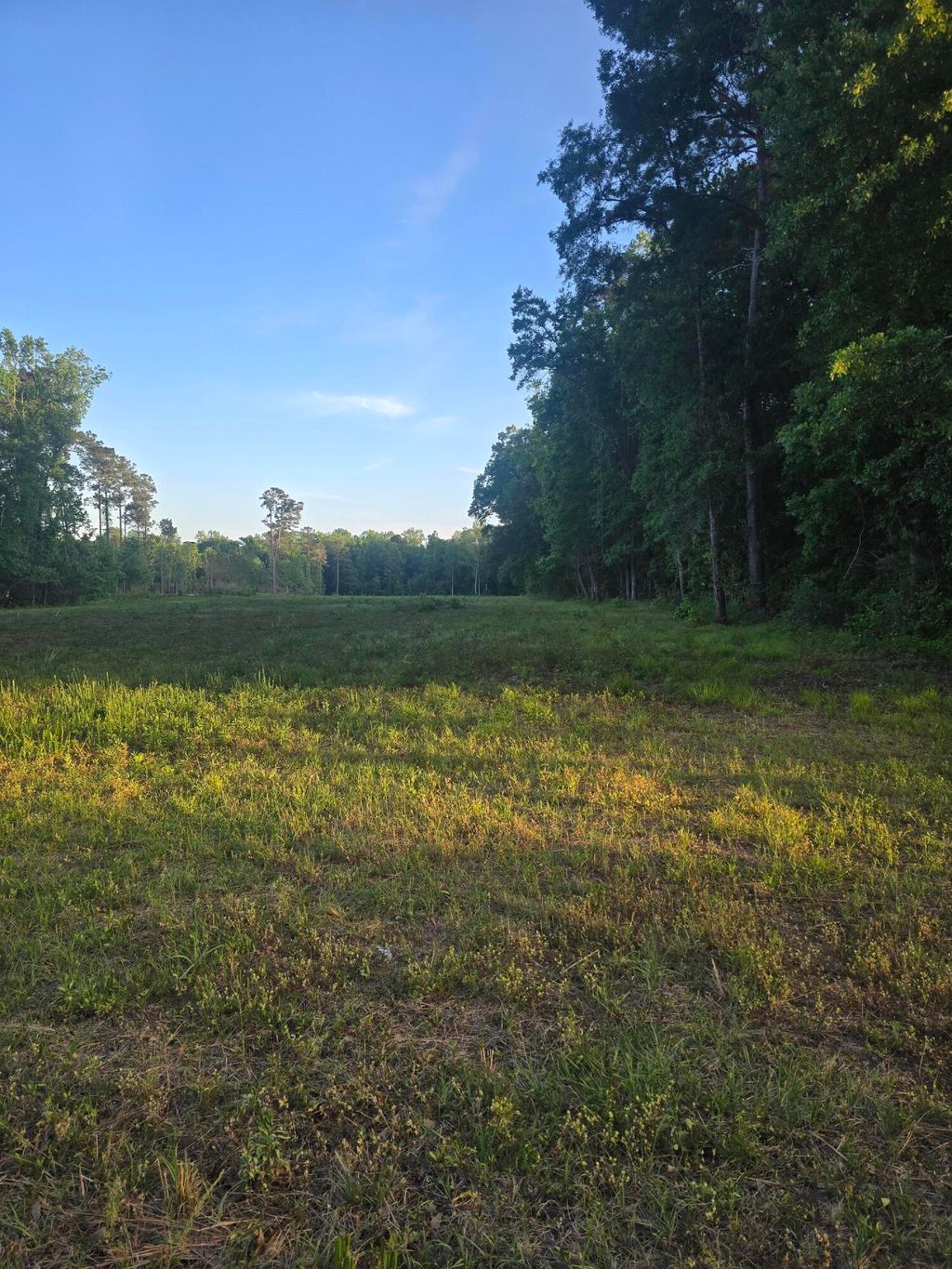 Photo of 00 Central Avenue, Summerville, SC 29483 (MLS # 26011470)