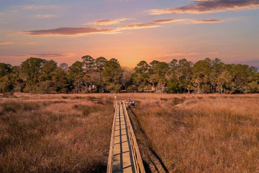 Photo of 1641 Sewee Fort Road, Mount Pleasant, SC 29466 (MLS # 26006522)