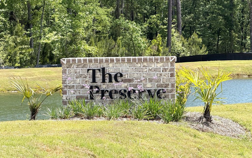 Photo of 3873 Summerton Street, Mount Pleasant, SC 29466 (MLS # 25027831)