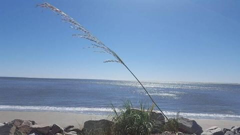 A home in Seabrook Island