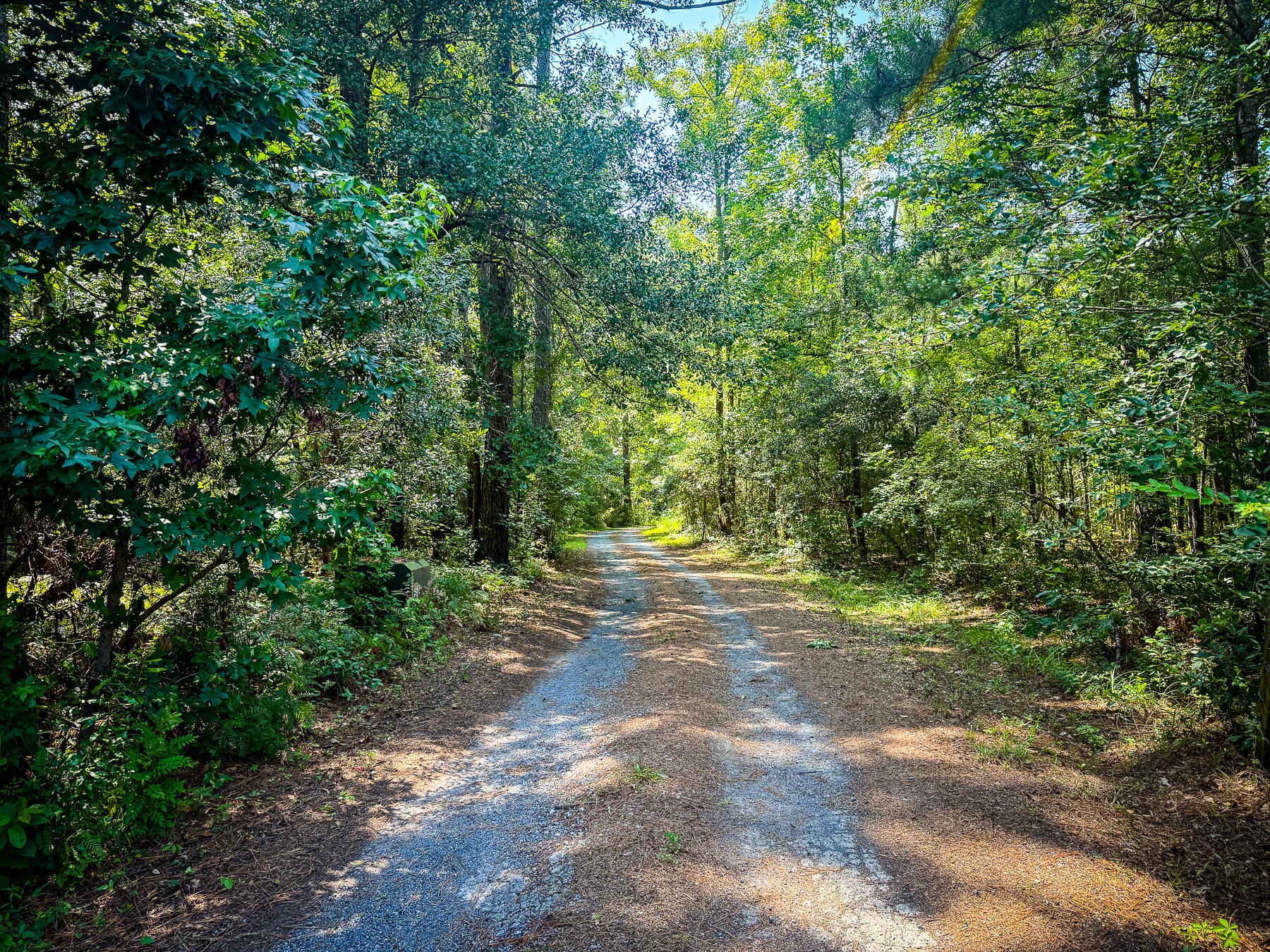 153 Willow Brook Way