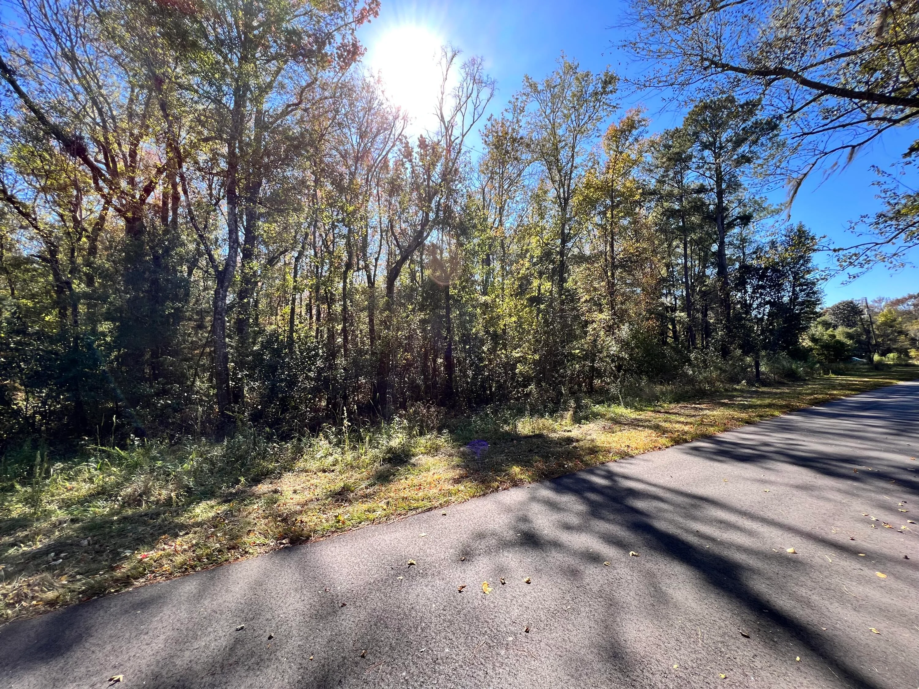 00 Shoofly Road Road