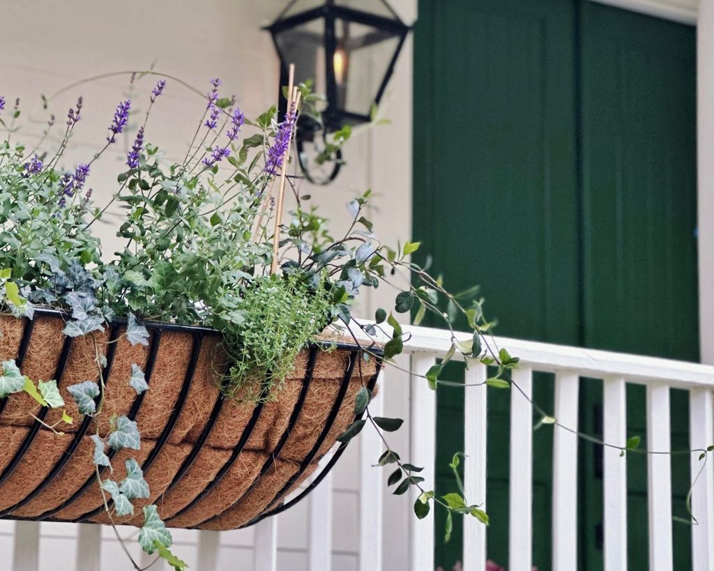 Photo of 2431 Settlers Street, Charleston, SC 29492 (MLS # 26008059)