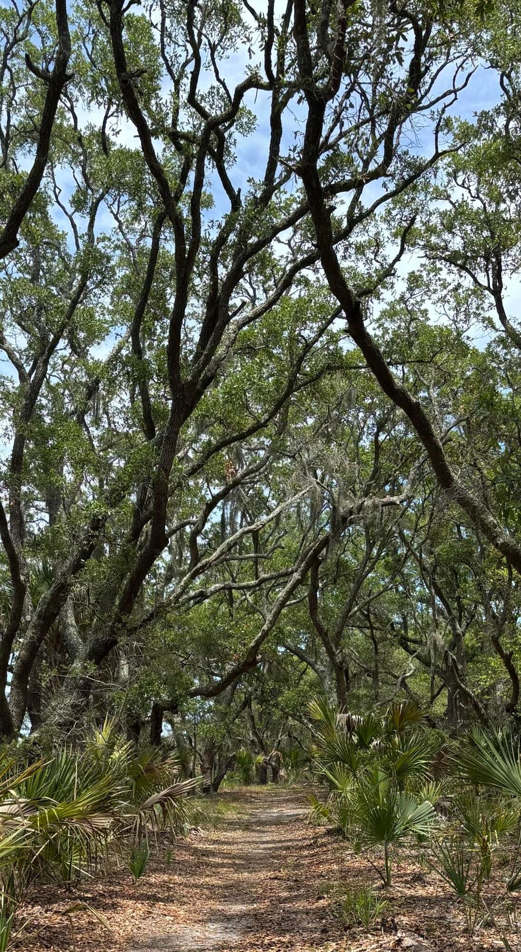 Photo of 0 Cole, Folly Beach, SC 29439 (MLS # 26014656)