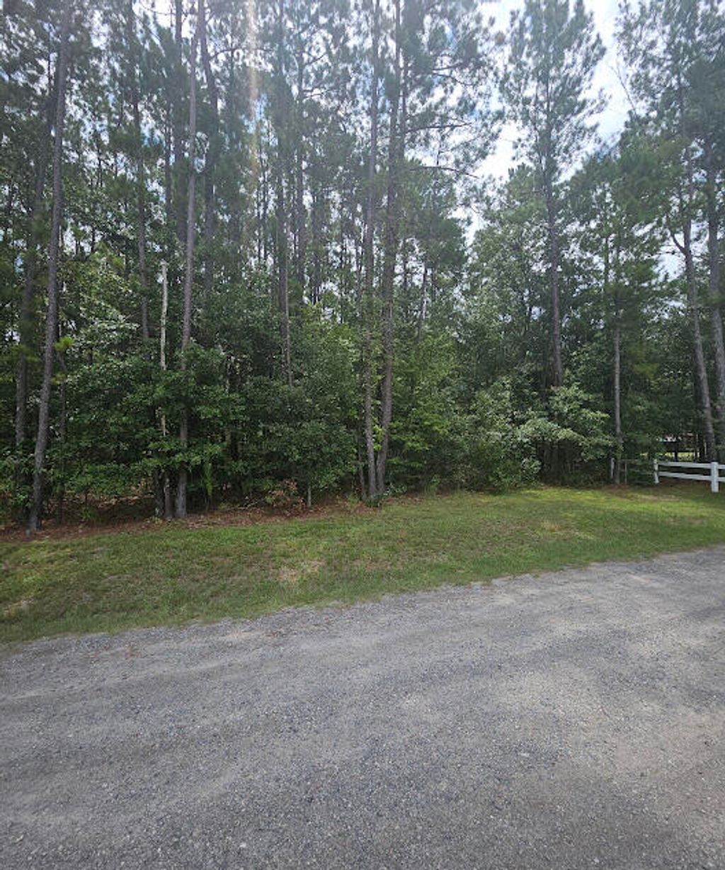 Photo of 0 Peacock Lane, Summerville, SC 29486 (MLS # 25020832)