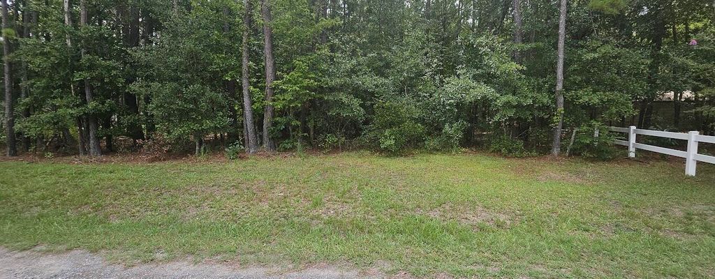 Photo of 0 Peacock Lane, Summerville, SC 29486 (MLS # 25020832)
