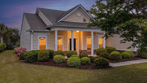 Photo of 369 Waterlily Way, Summerville, SC 29486 (MLS # 26010834)