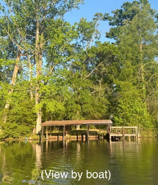 114 Roosevelt Drive
