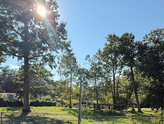 114 ROOSEVELT DR, EUTAWVILLE, SC 29048 - Image 93ceda4eea5a644c850761b2be436dc6/4229774965