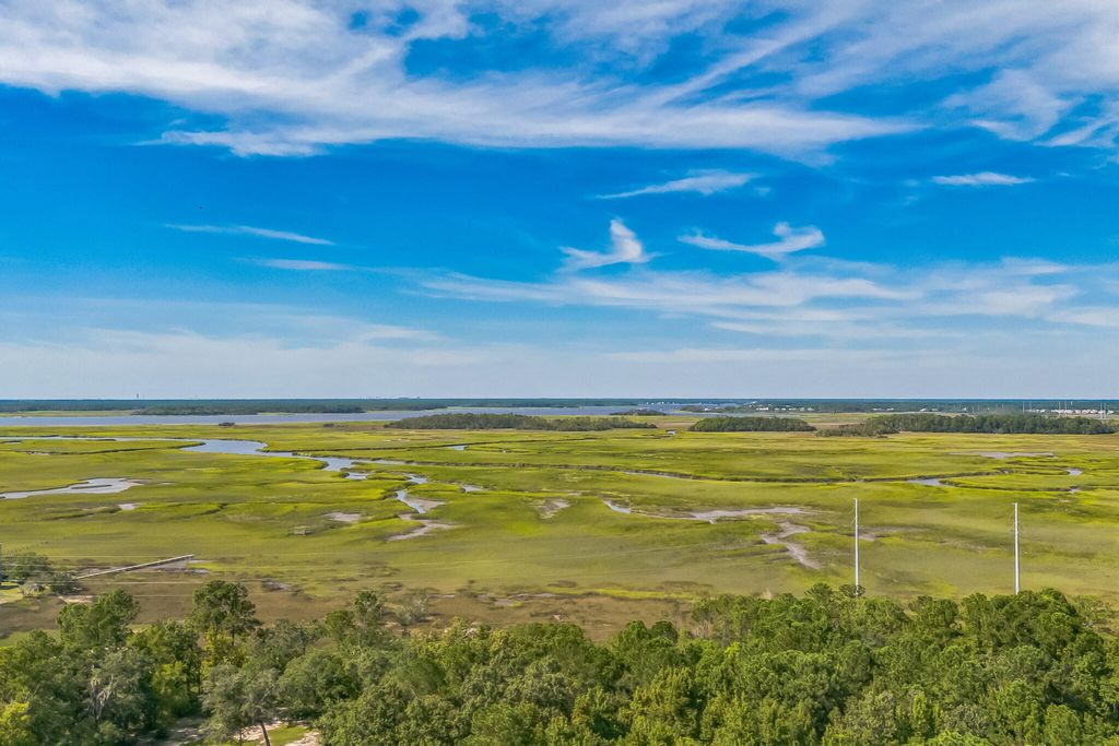 Photo of 1638 Evelina Street, Mount Pleasant, SC 29464 (MLS # 24023061)