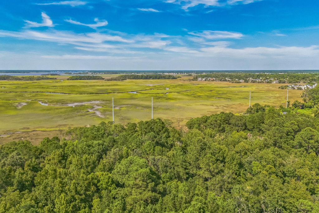 Photo of 1638 Evelina Street, Mount Pleasant, SC 29464 (MLS # 24023061)