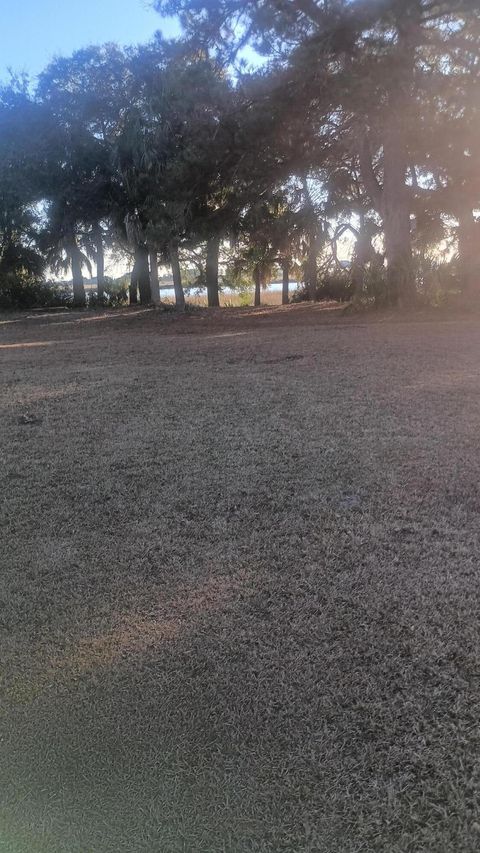 171 Bennett Island Dr. Green Pond SC 29446