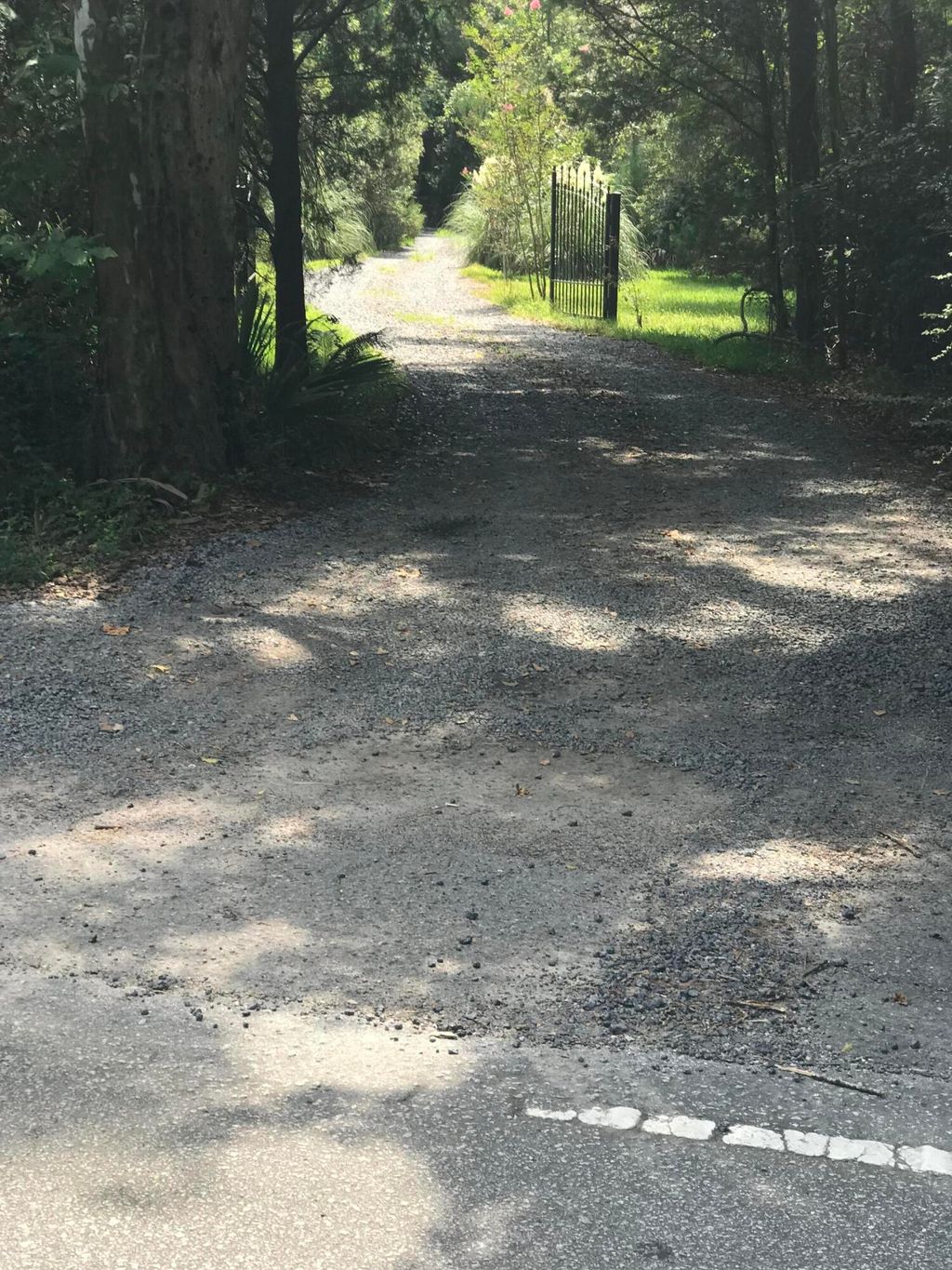 5546 Chisolm Road, Johns Island, SC Lots and Land Property Listing
