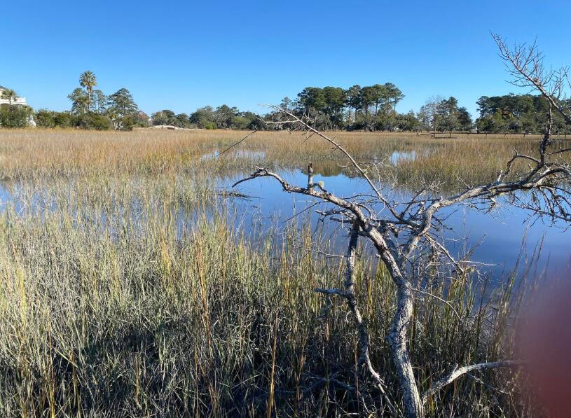 6444 St. Anthony Drive