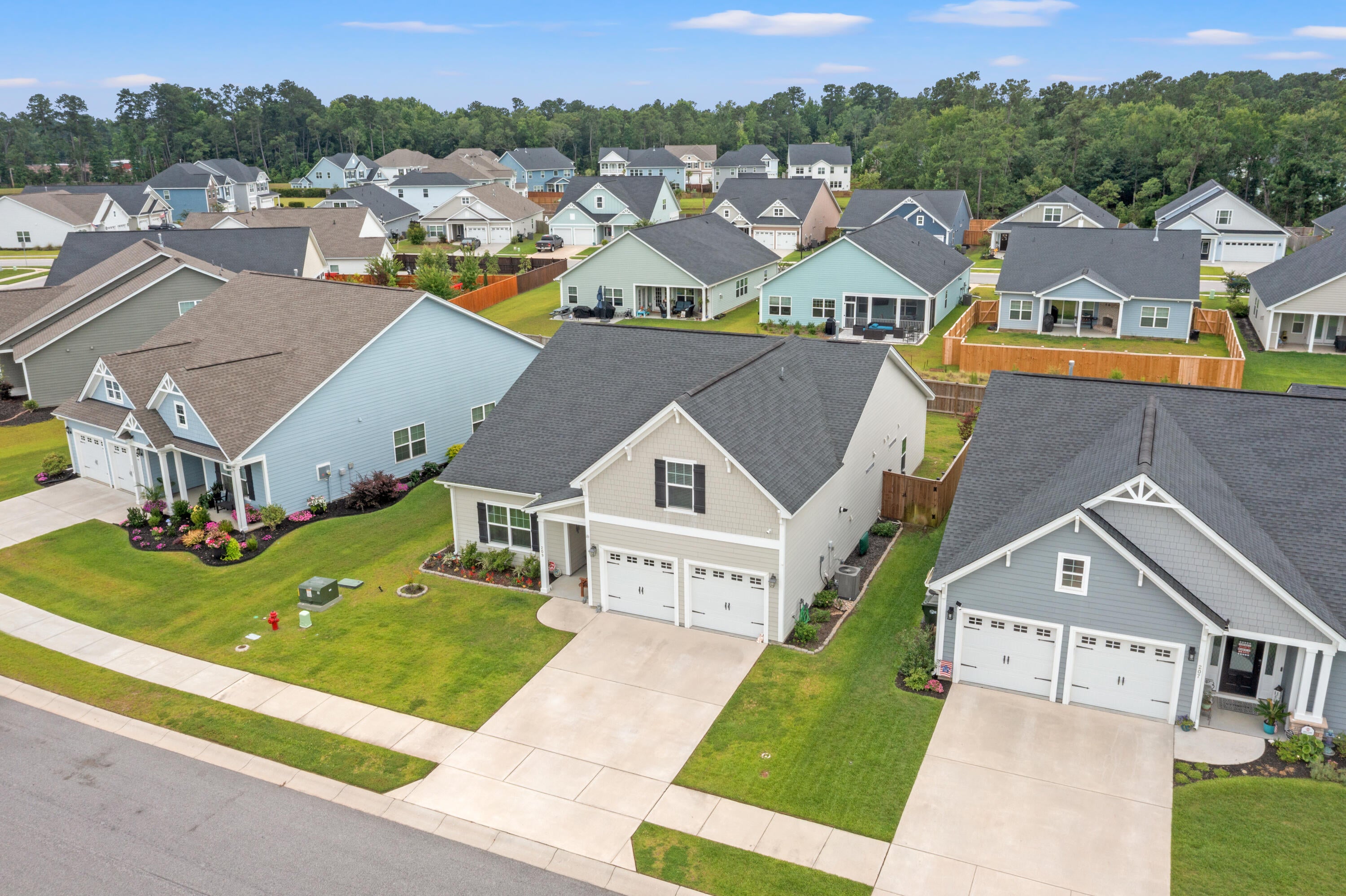 209 Fiddleback Drive