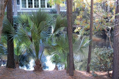 A home in Seabrook Island