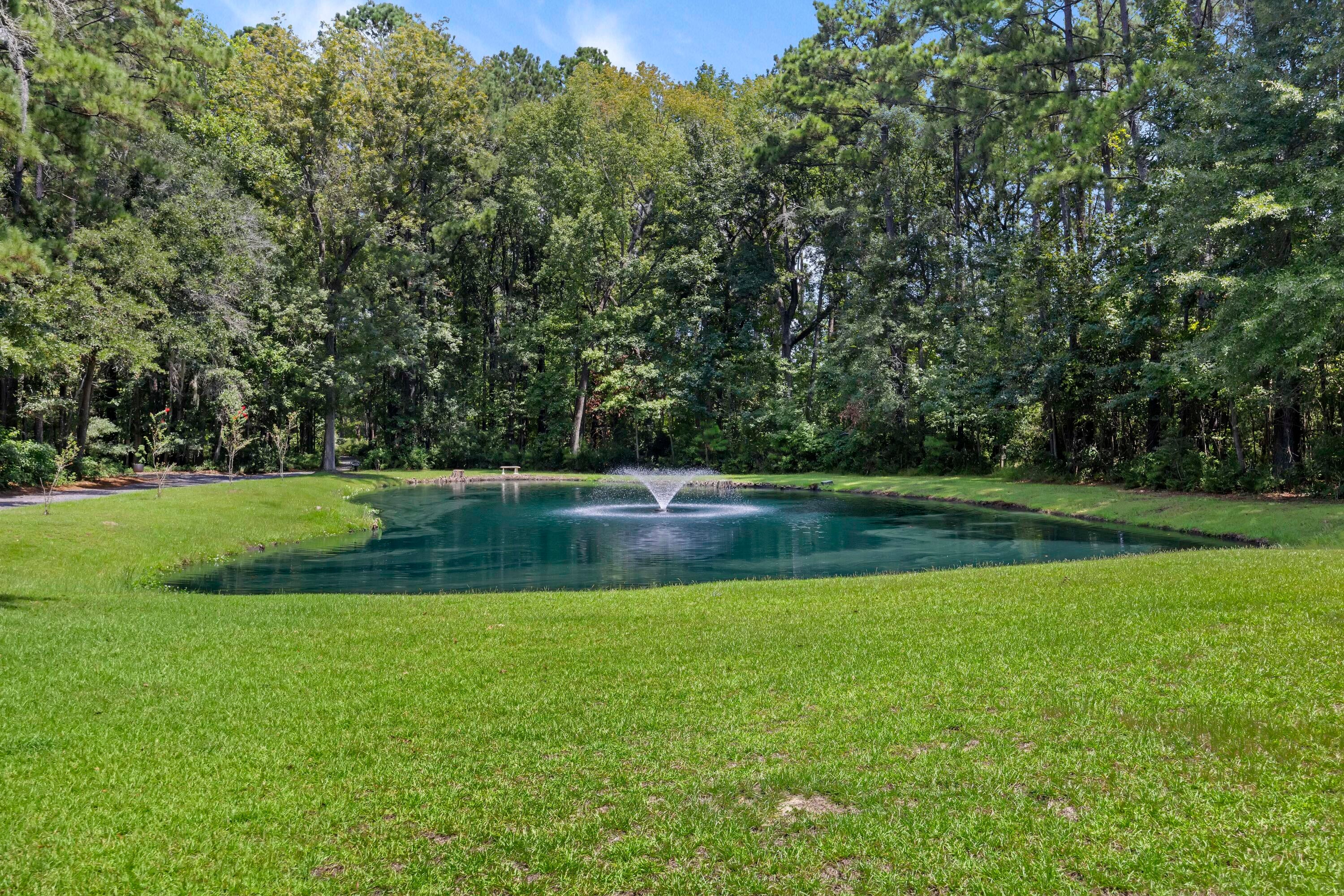 1451 Bears Bluff Road