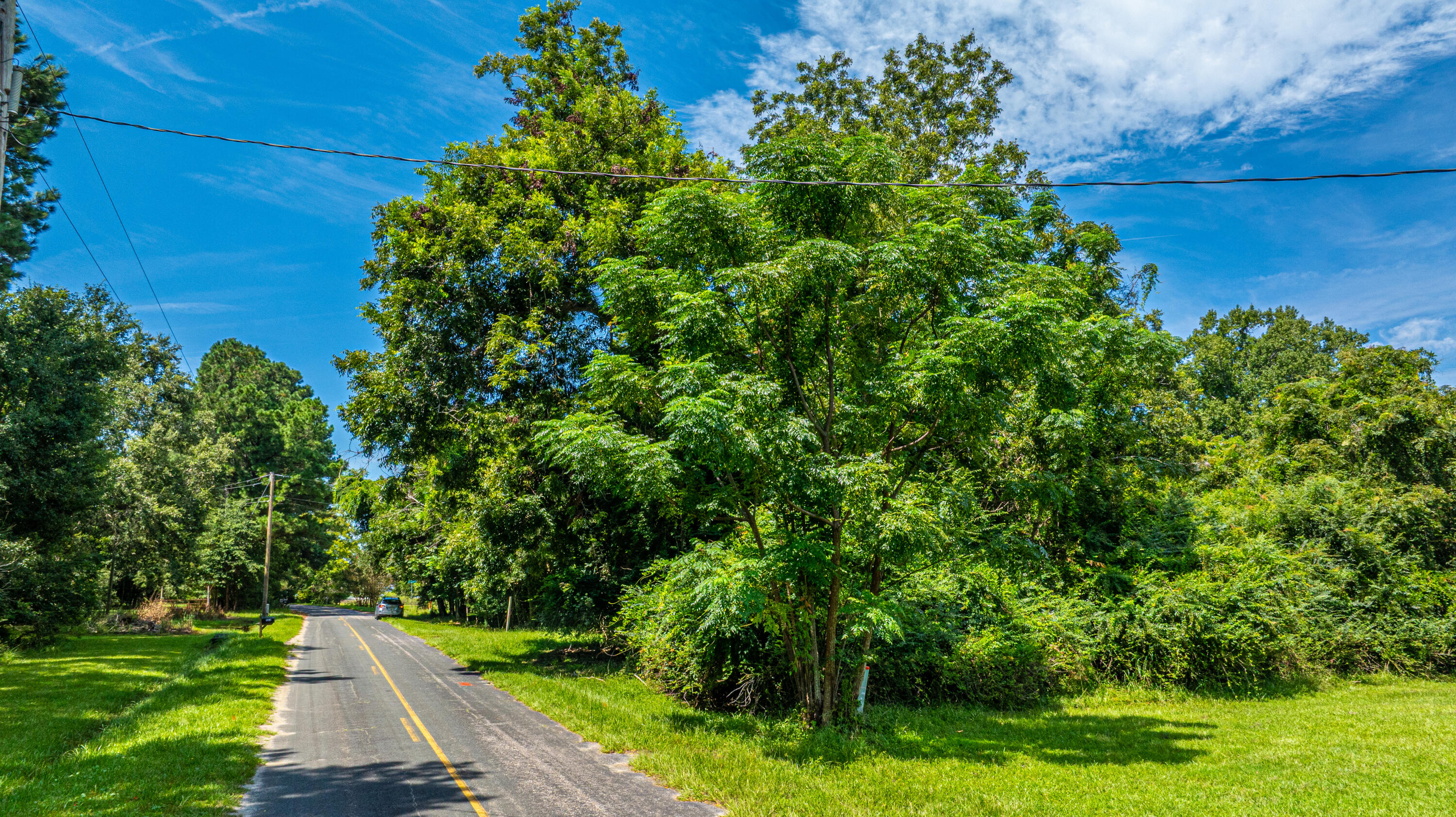 1151 Harts Bluff Road