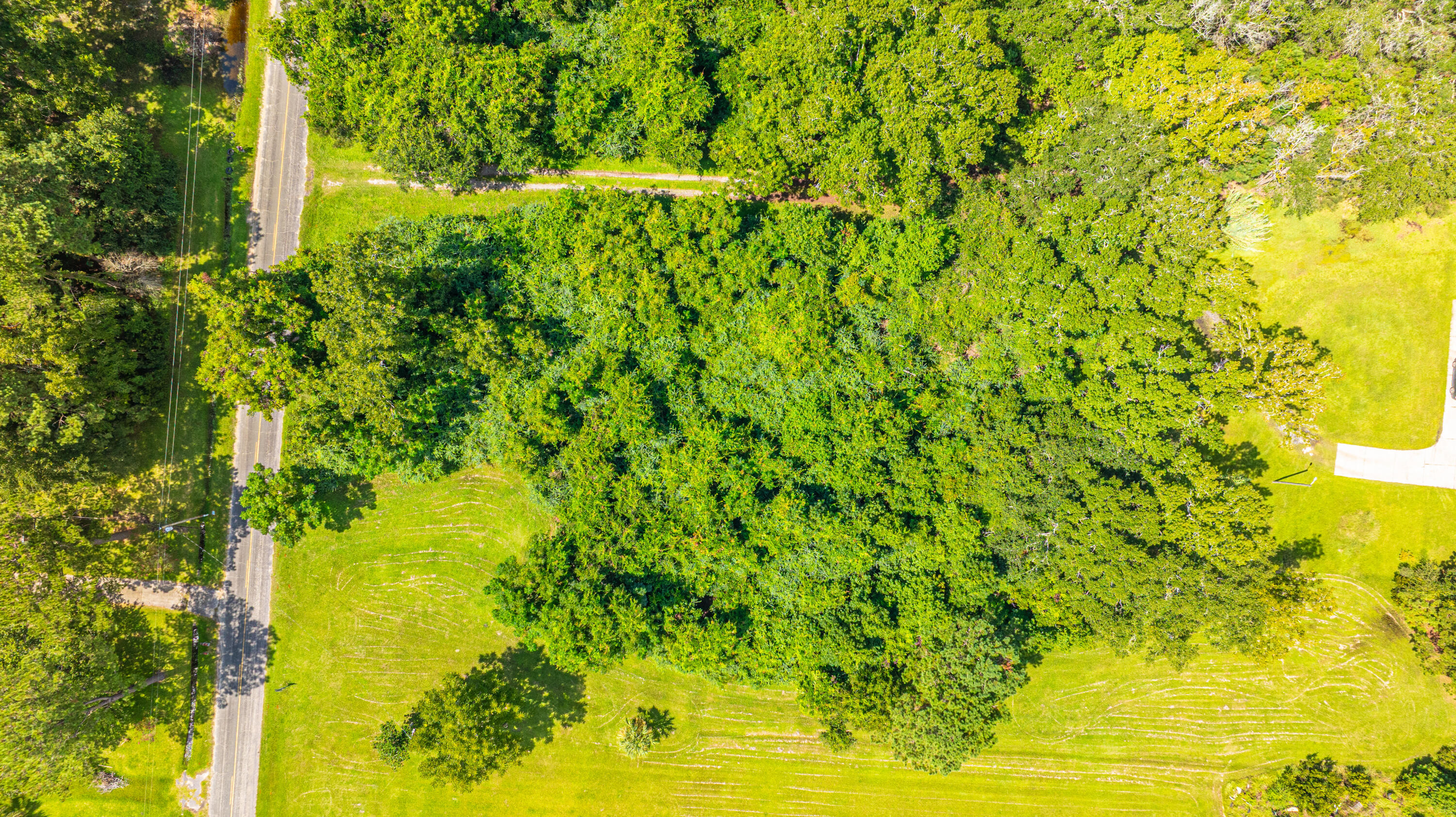 1151 Harts Bluff Road