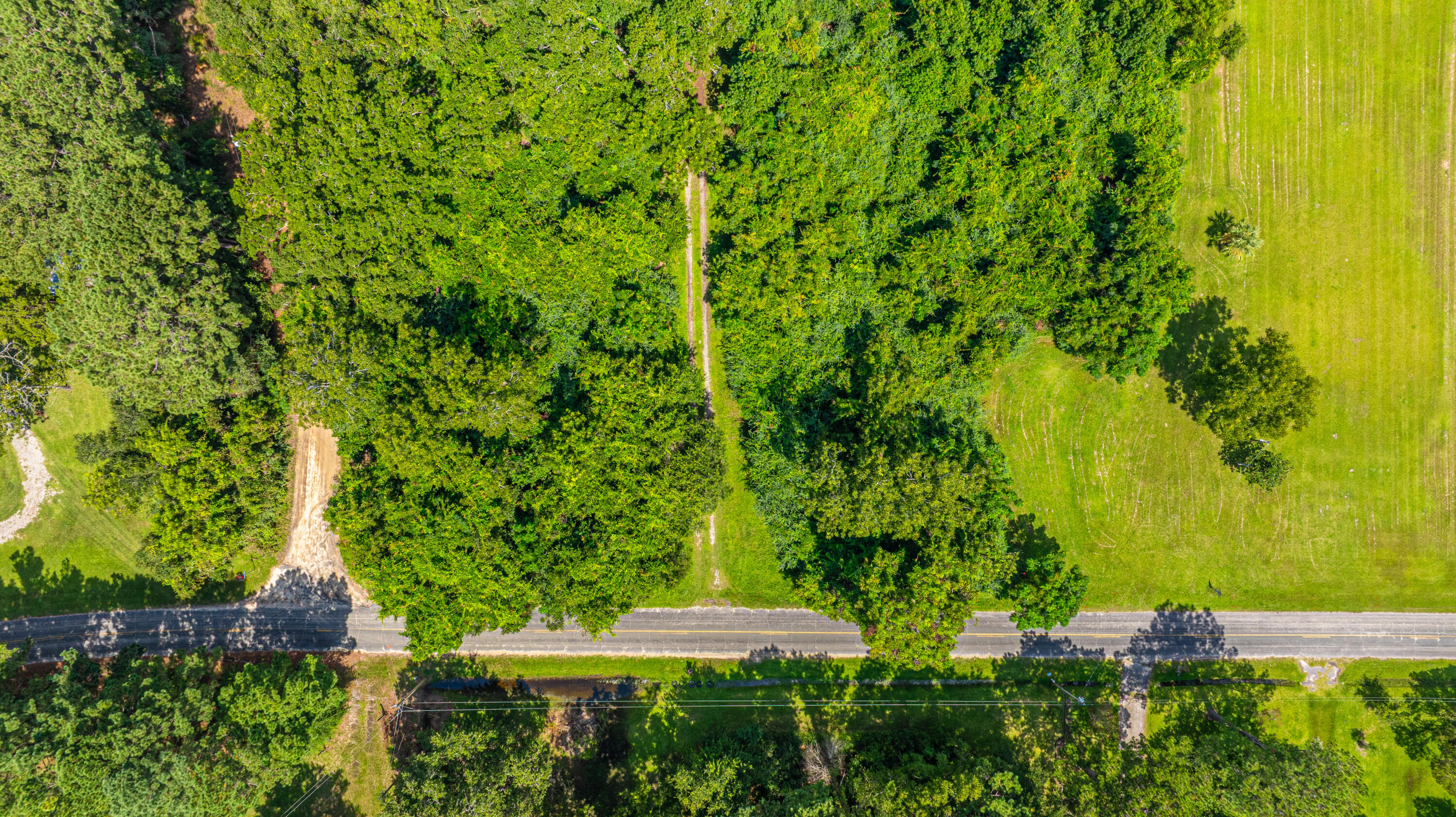 1151 Harts Bluff Road