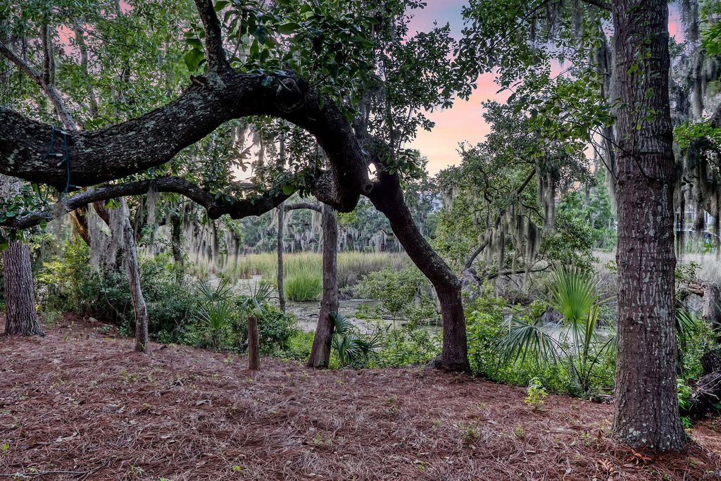 Photo of 1636 Oak Leaf Street, Daniel Island, SC 29492 (MLS # 26004087)
