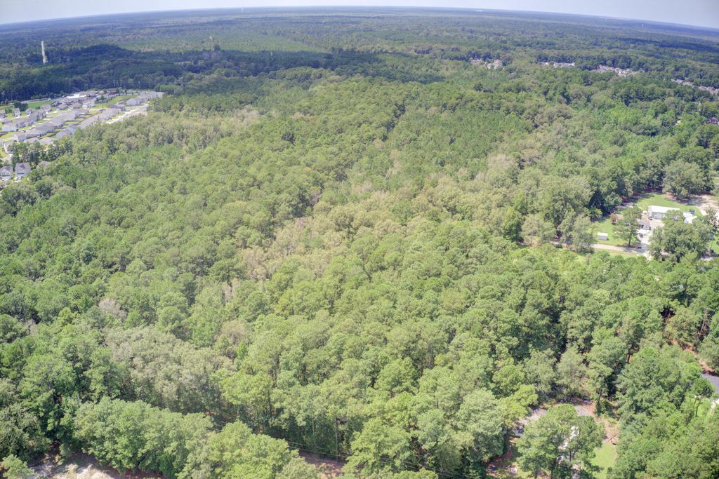 Photo of 00 Mallard Road, Summerville, SC 29483 (MLS # 23019122)