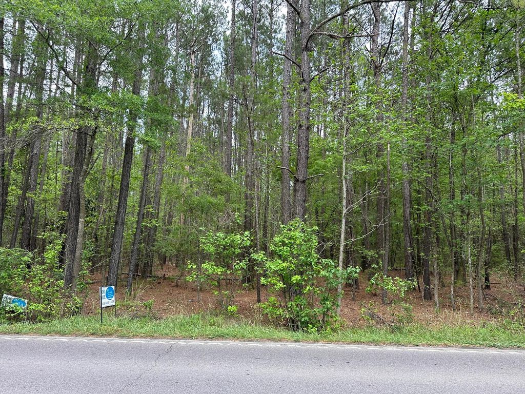 Photo of 04 Mallard Road, Summerville, SC 29483 (MLS # 25020495)