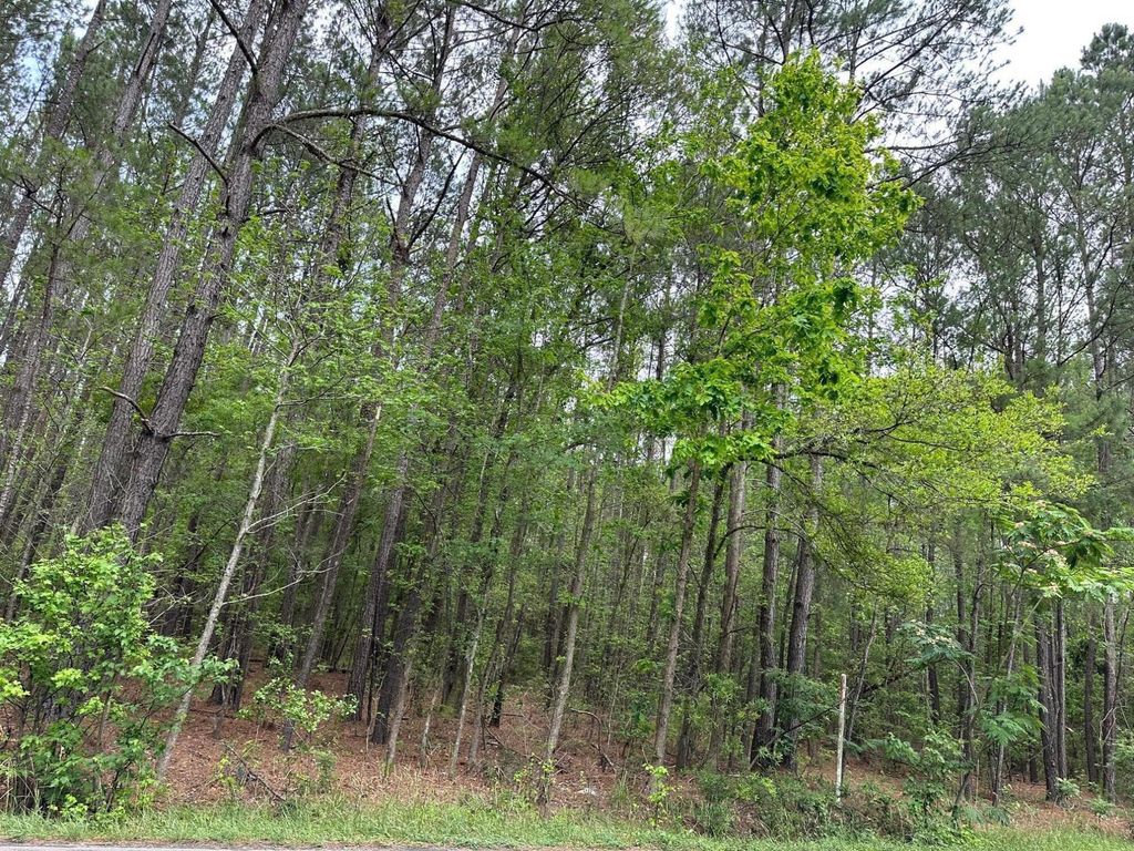 Photo of 04 Mallard Road, Summerville, SC 29483 (MLS # 25020495)