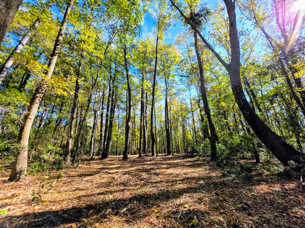 Photo of 3047 Fickling Hill Road #C-1, Johns Island, SC 29455 (MLS # 25030213)