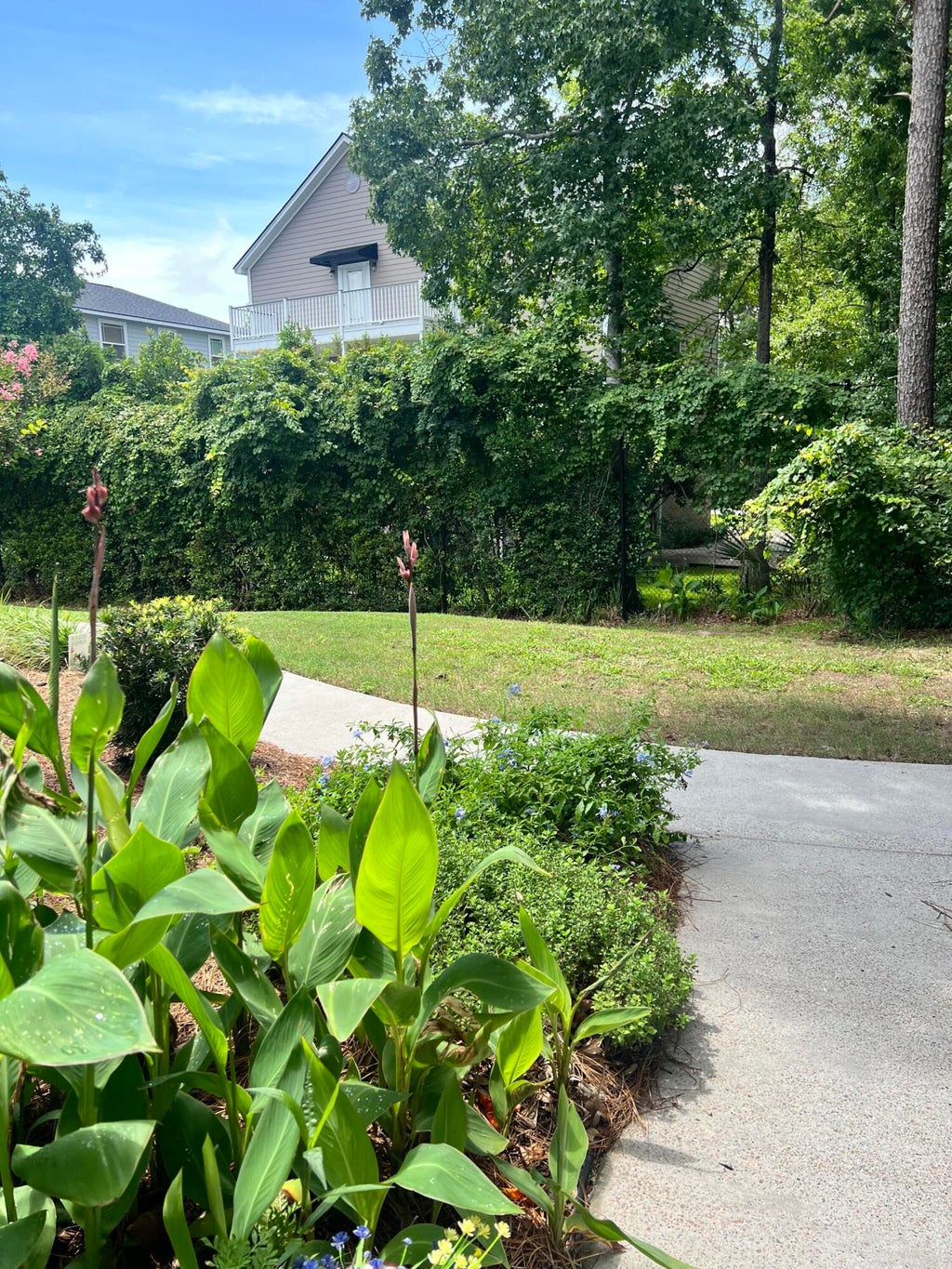 Photo of 264 Alexandra Drive #Unit 10, Mount Pleasant, SC 29464 (MLS # 26022322)