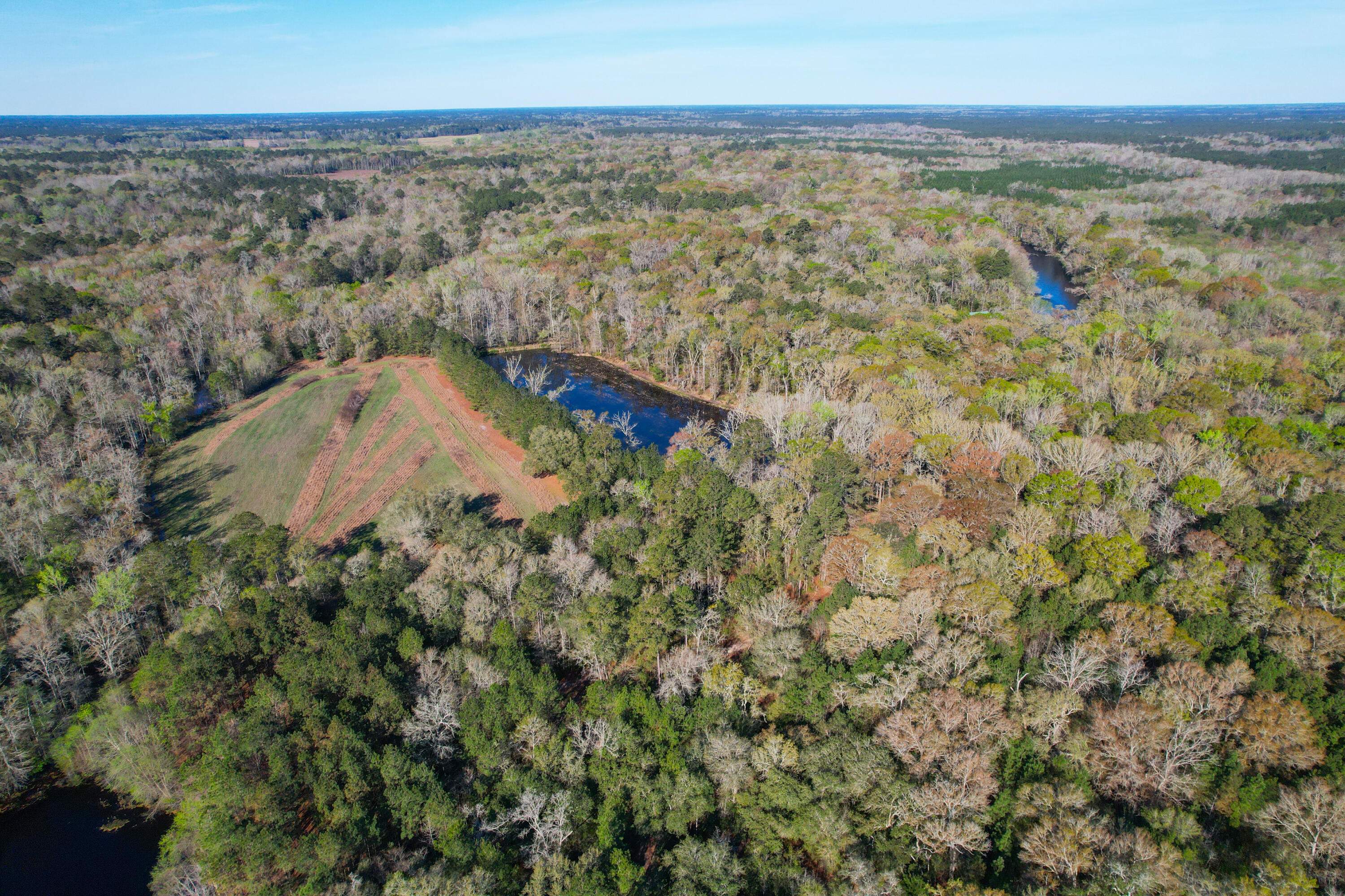 1384 Sandy Landing Lane