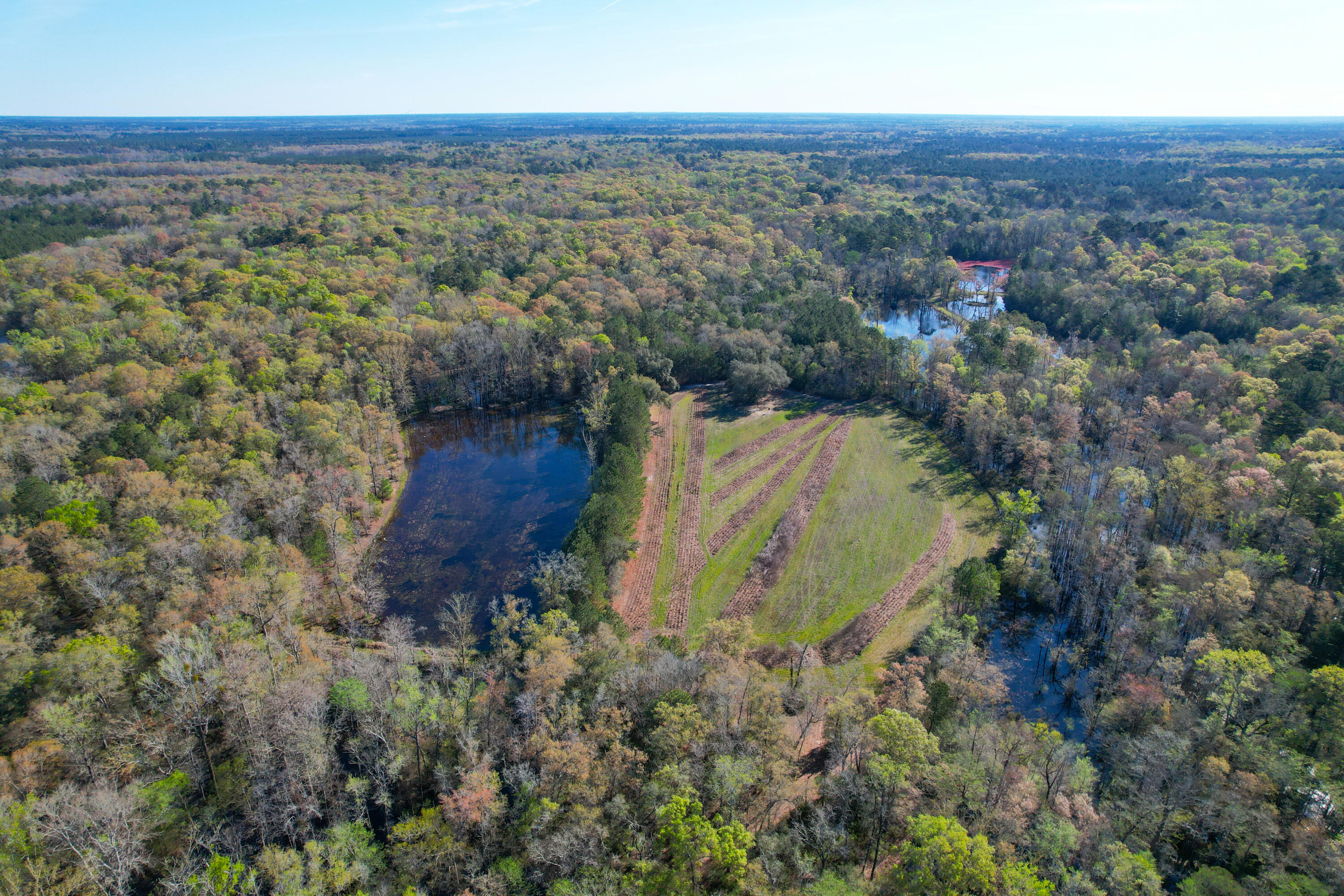 1384 Sandy Landing Lane