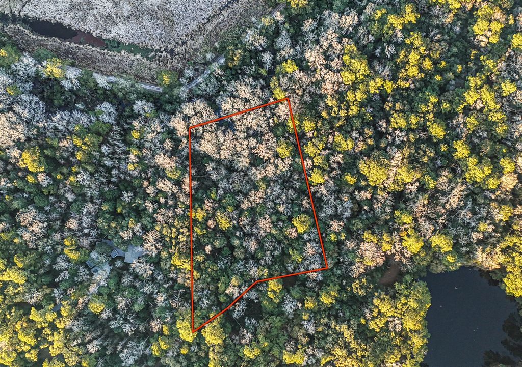 Photo of 19 Middleton Oaks Road, Charleston, SC 29414 (MLS # 26001711)