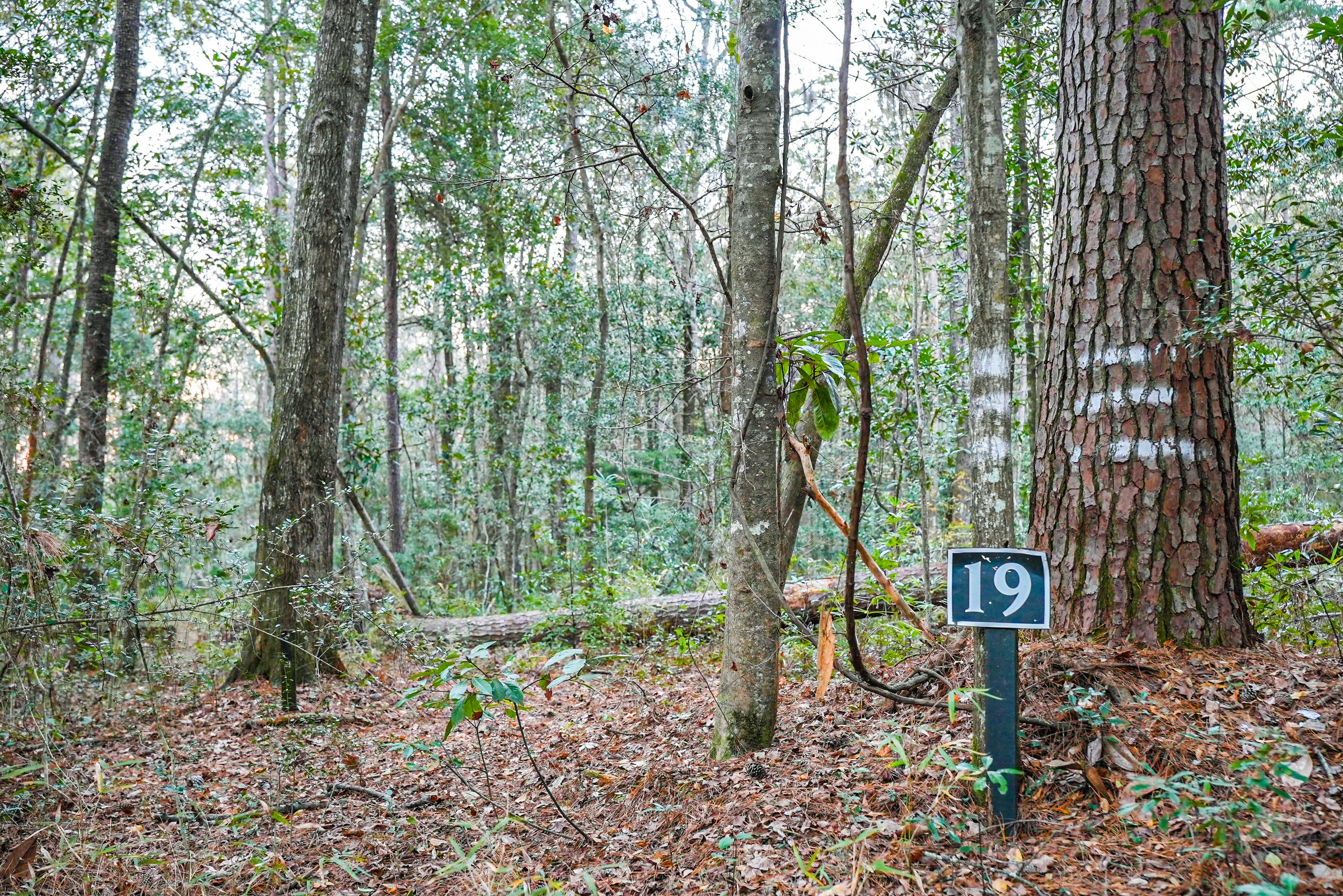 19 Middleton Oaks Road