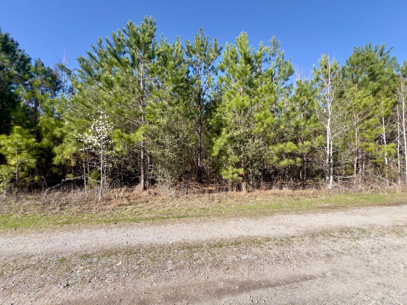 01 Devine Way