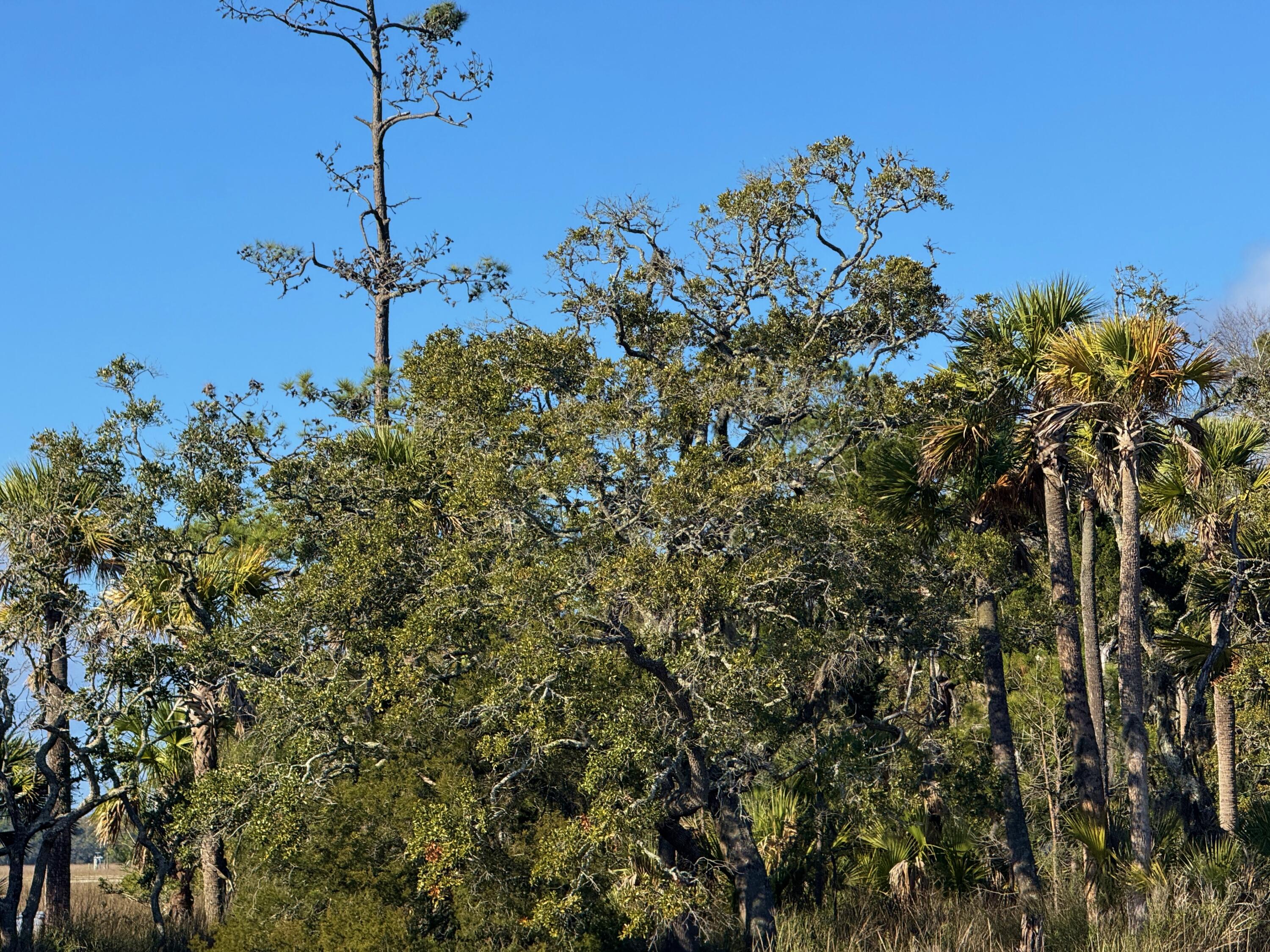 0 Palmetto Road Docksite F