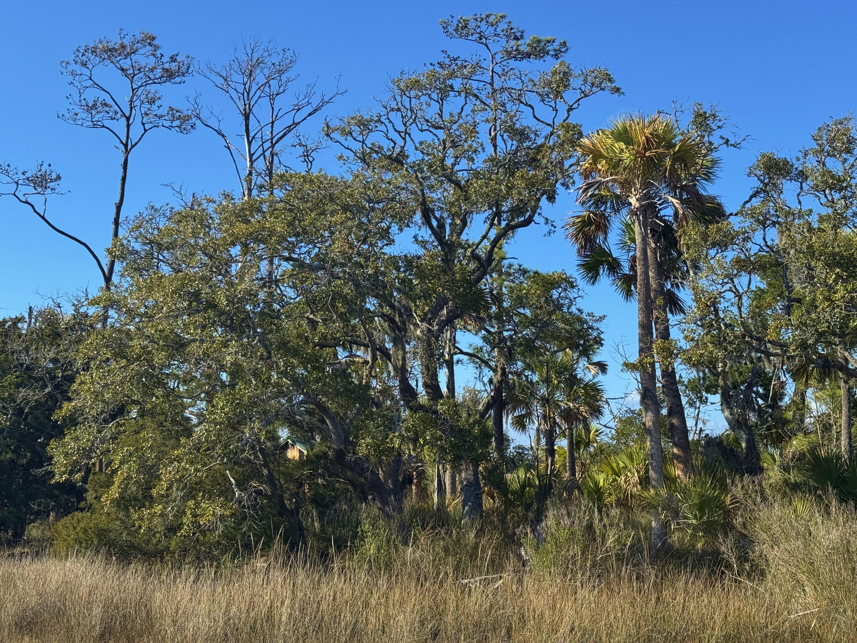 0 Palmetto Road Docksite F