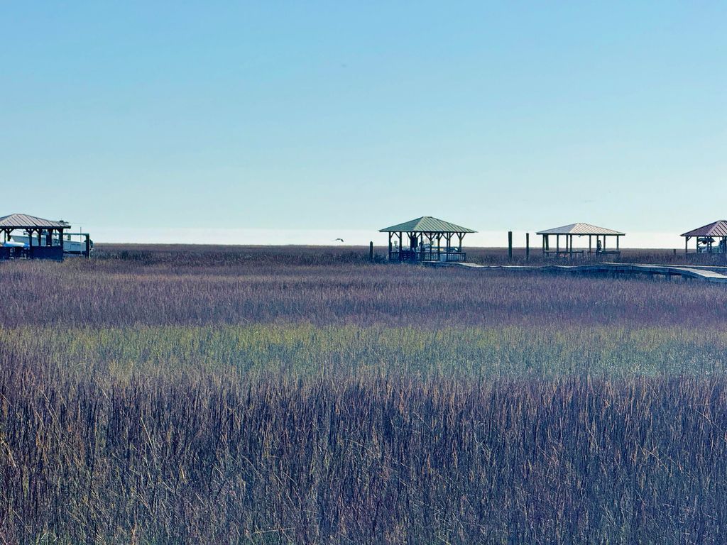 Photo of 0 Palmetto Road #Docksite F, Edisto Island, SC 29438 (MLS # 26006585)