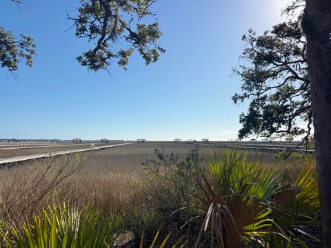 0 Palmetto Road Docksite F Edisto Island SC 29438