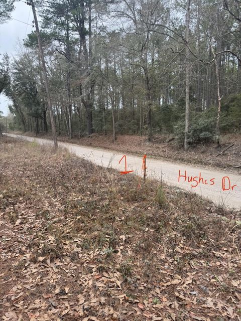 0 Hughes Drive Round O SC 29474