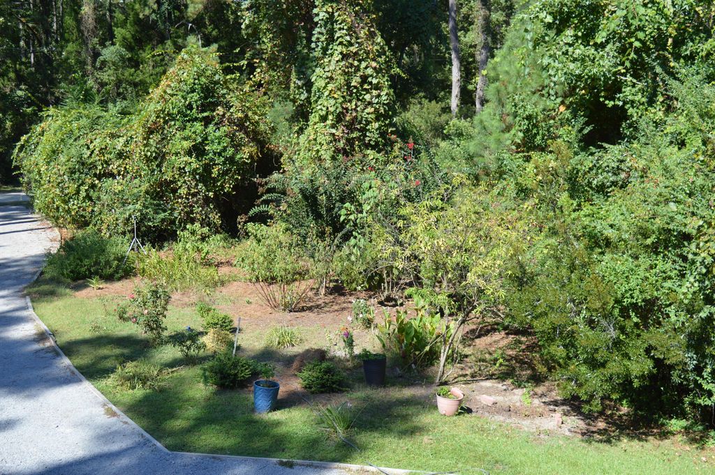 Photo of 325 McClellan Avenue, McClellanville, SC 29458 (MLS # 25026353)