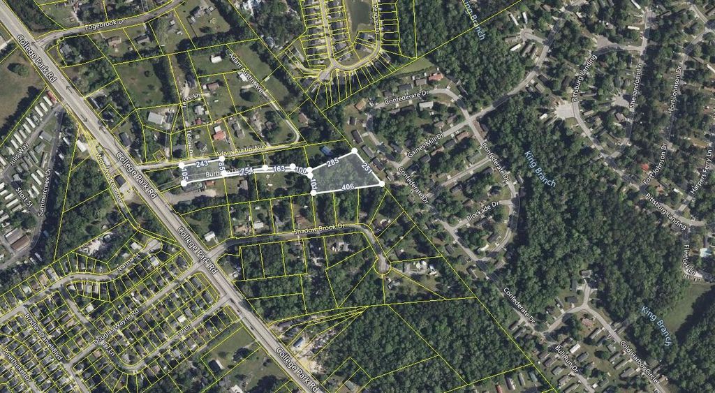 Photo of 111 Burbage Lane, Summerville, SC 29486 (MLS # 25020751)