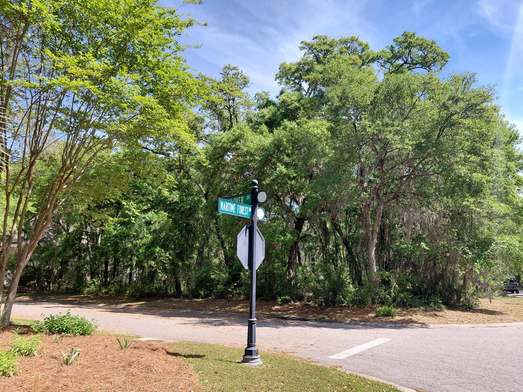 Photo of 3003 Maritime Forest Drive, Johns Island, SC 29455 (MLS # 26010103)