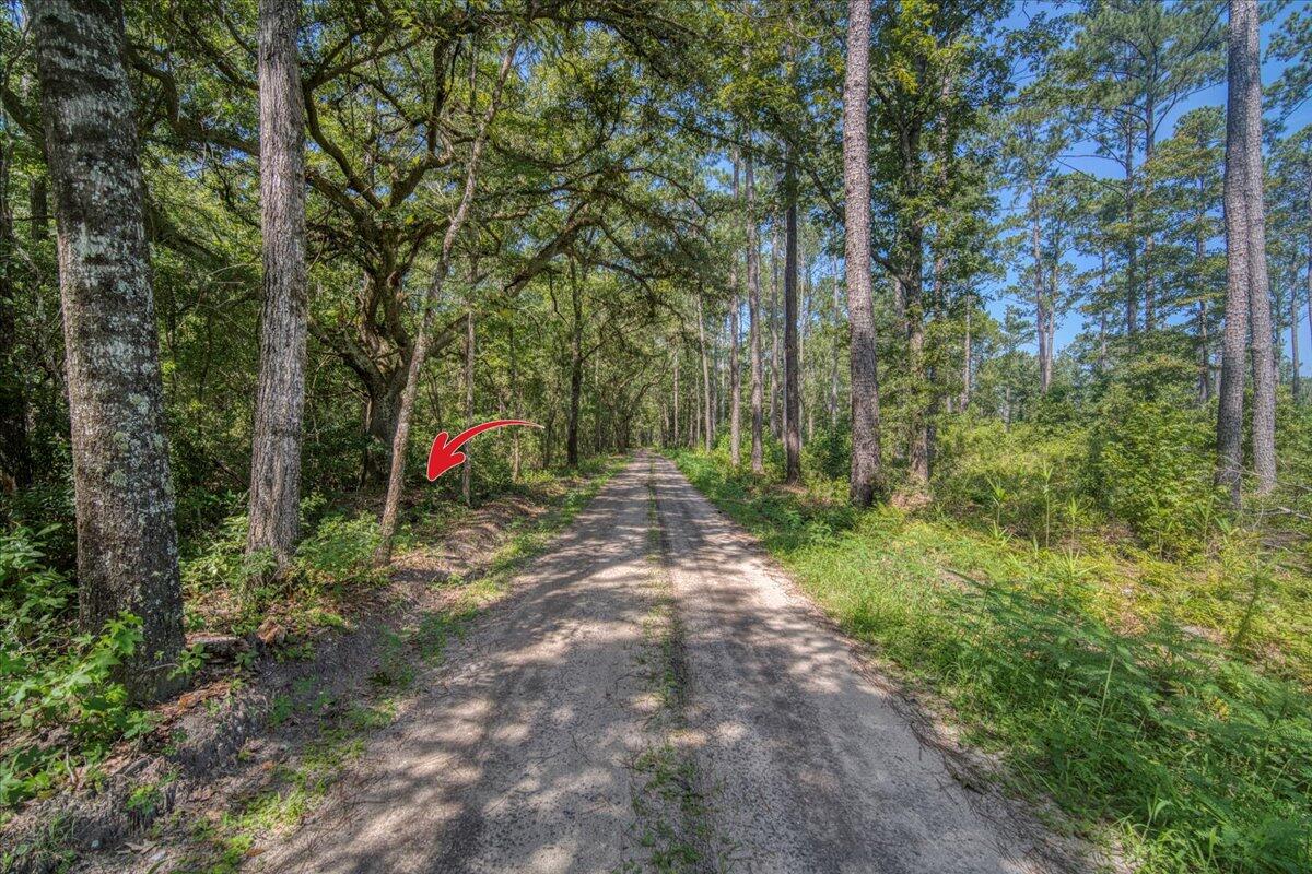 7799 Morris Bing Road